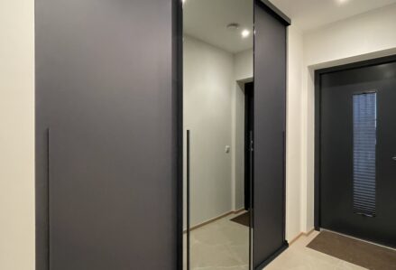 Liuguksed Tank100  raam-RAL, sisu värvitud hallklaas ja hall peegel